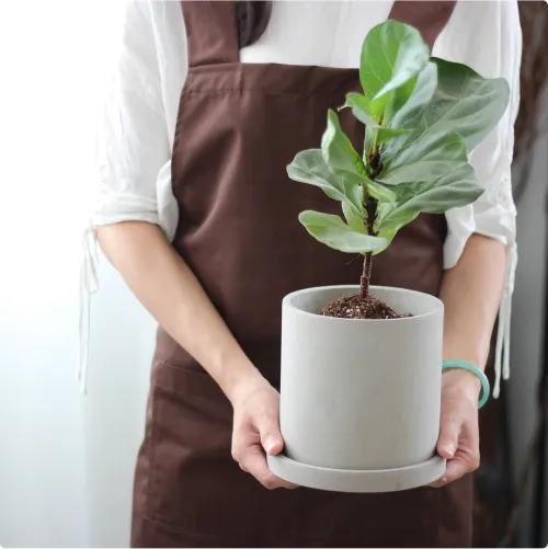 Minimalist Concrete Planter Pot